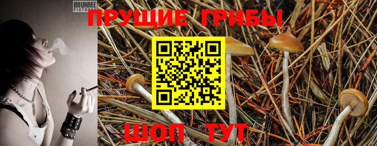 Галлюциногенные грибы ЛСД  Вход с VPN  Чайковский 