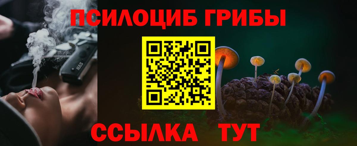 Галлюциногенные грибы Psilocybine cubensis Чайковский